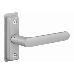 Silver door handle with rectangular backplate attached.