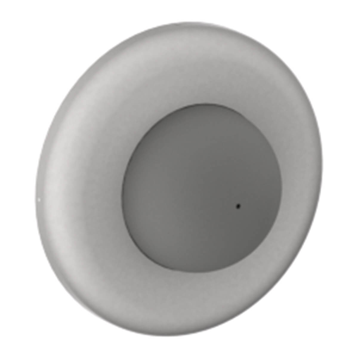 Silver round security hardware with central black dot.