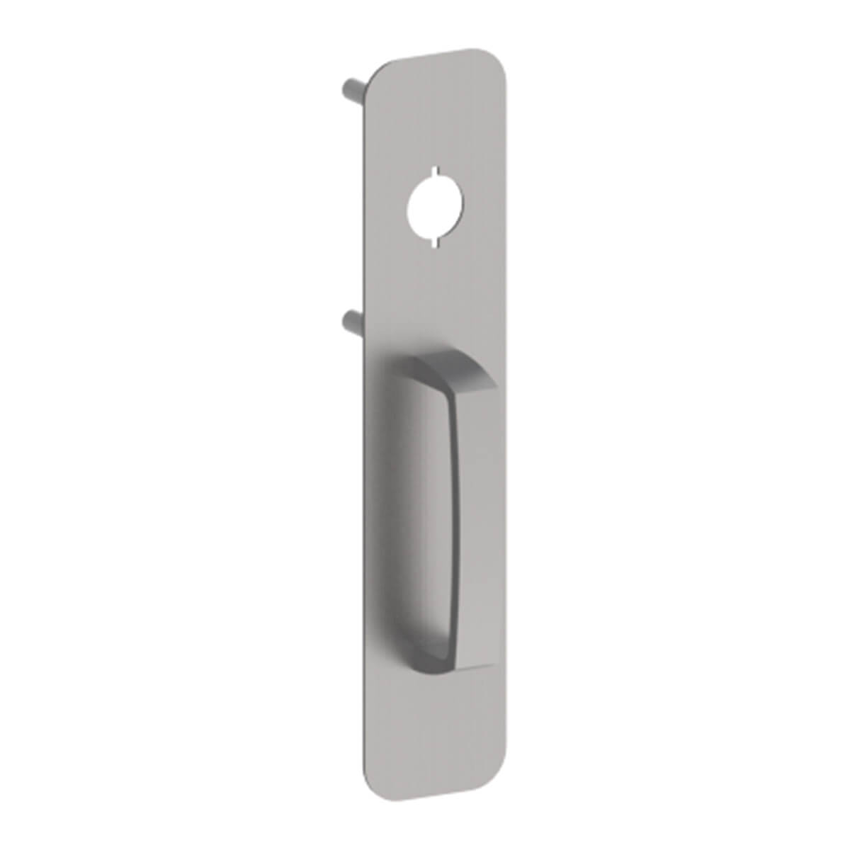 Metal door handle with rectangular backplate.