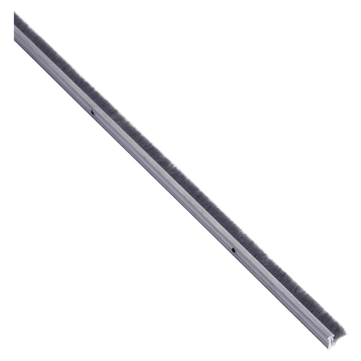Brush door seal for weatherproofing and insulation.